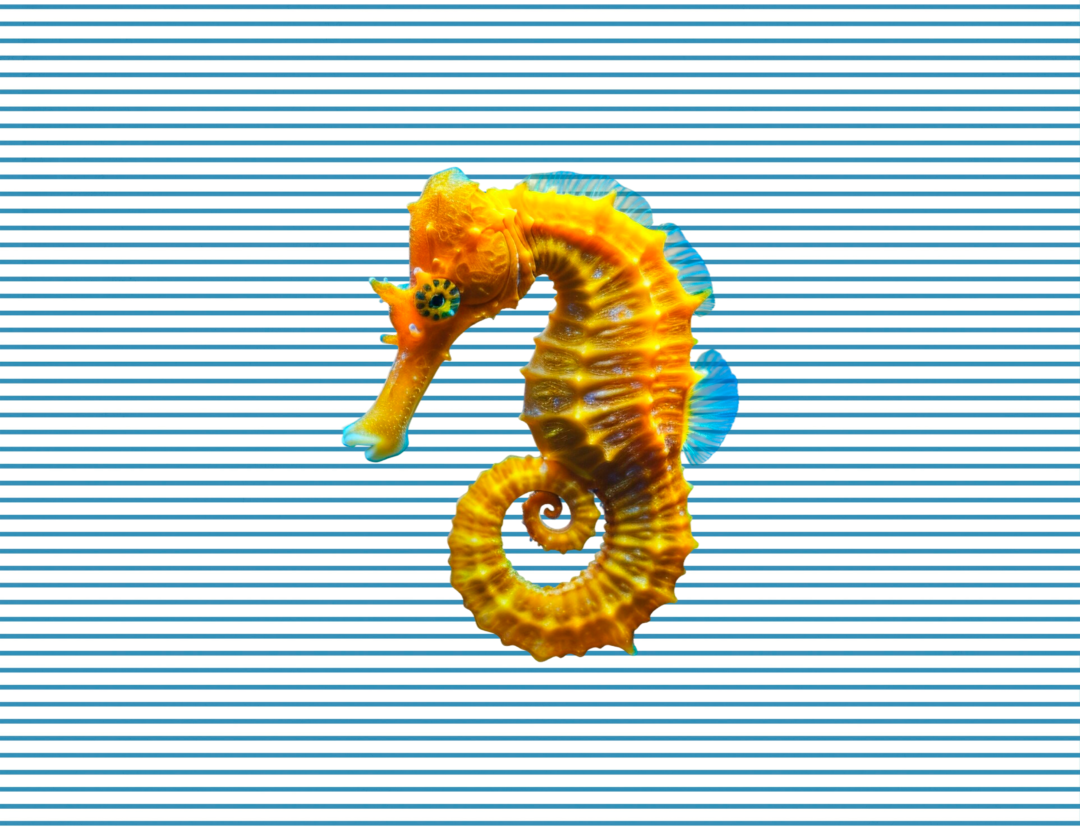 CABALLITO DE MAR EN AZUL