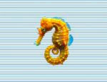 CABALLITO DE MAR EN AZUL