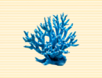 CORAL AZUL EN AMARILLO