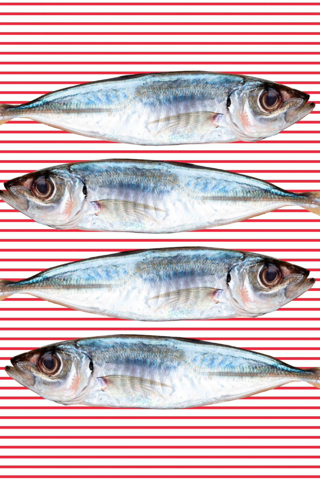 SARDINAS EN ROJO
