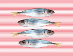 SARDINAS EN ROJO